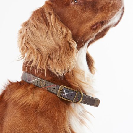 Rabattgutschein Halsbänder & Geschirre Barbour Tartan Halsband Hunde